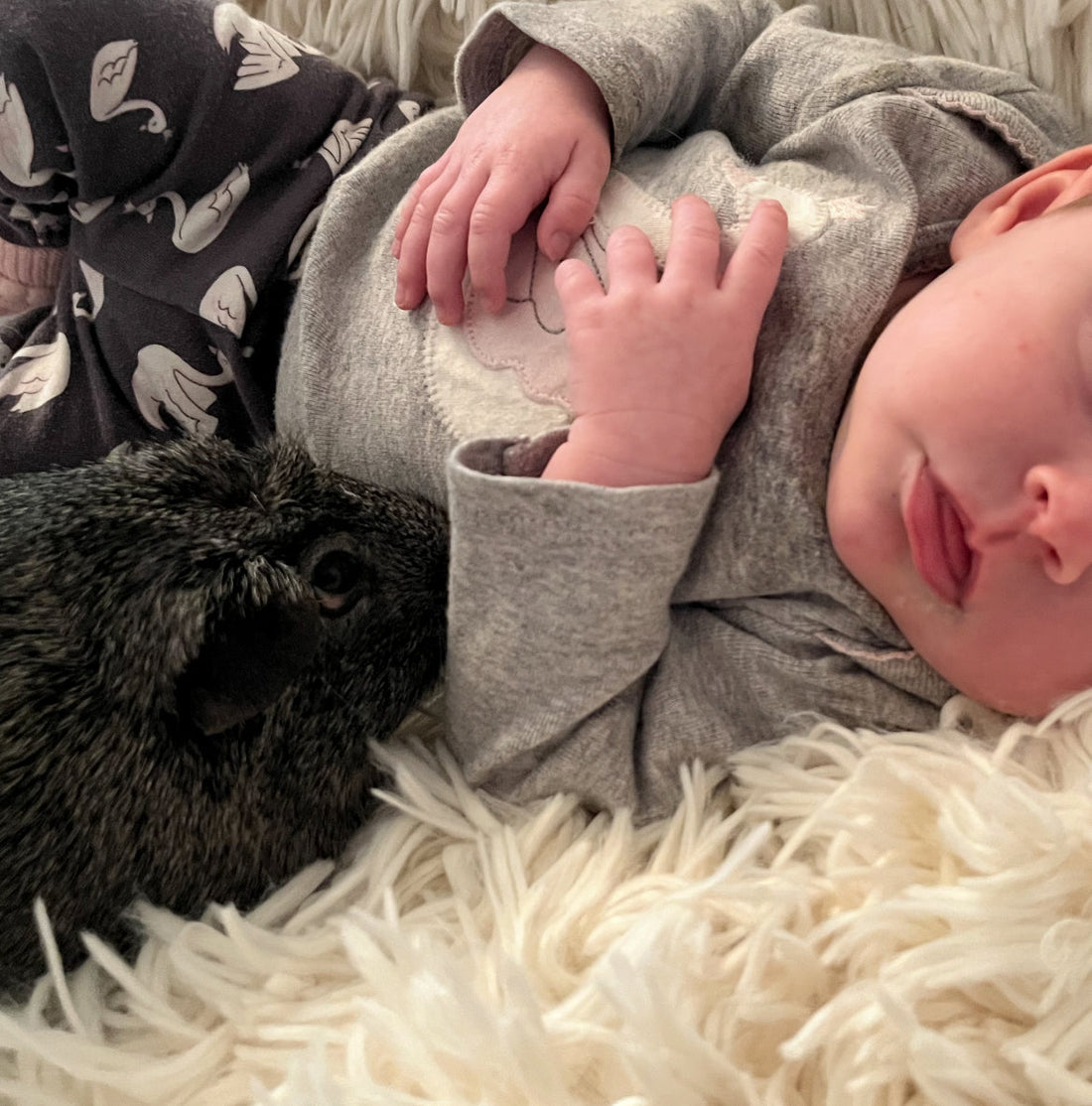 We are back from Maternity Leave!