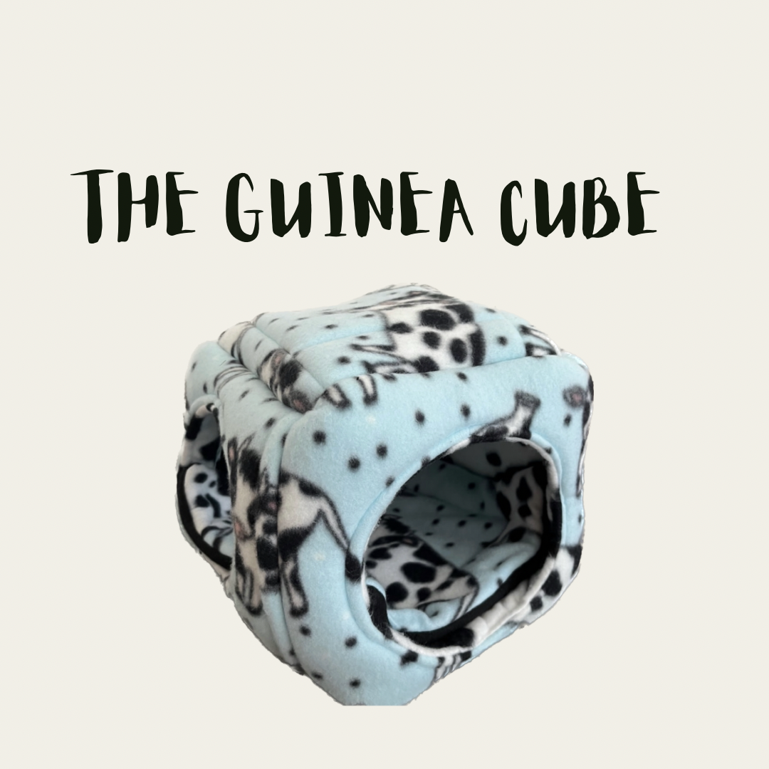 The Guinea Cube