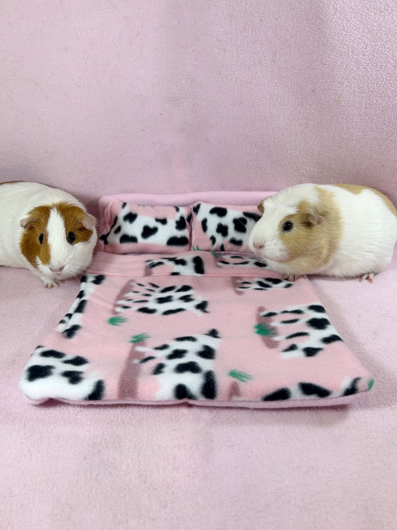 Bunk Bed Potty Pad