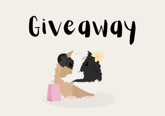 Giveaway Prize for Sunflowerpigs